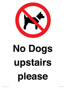 No Dogs upstairs please 
